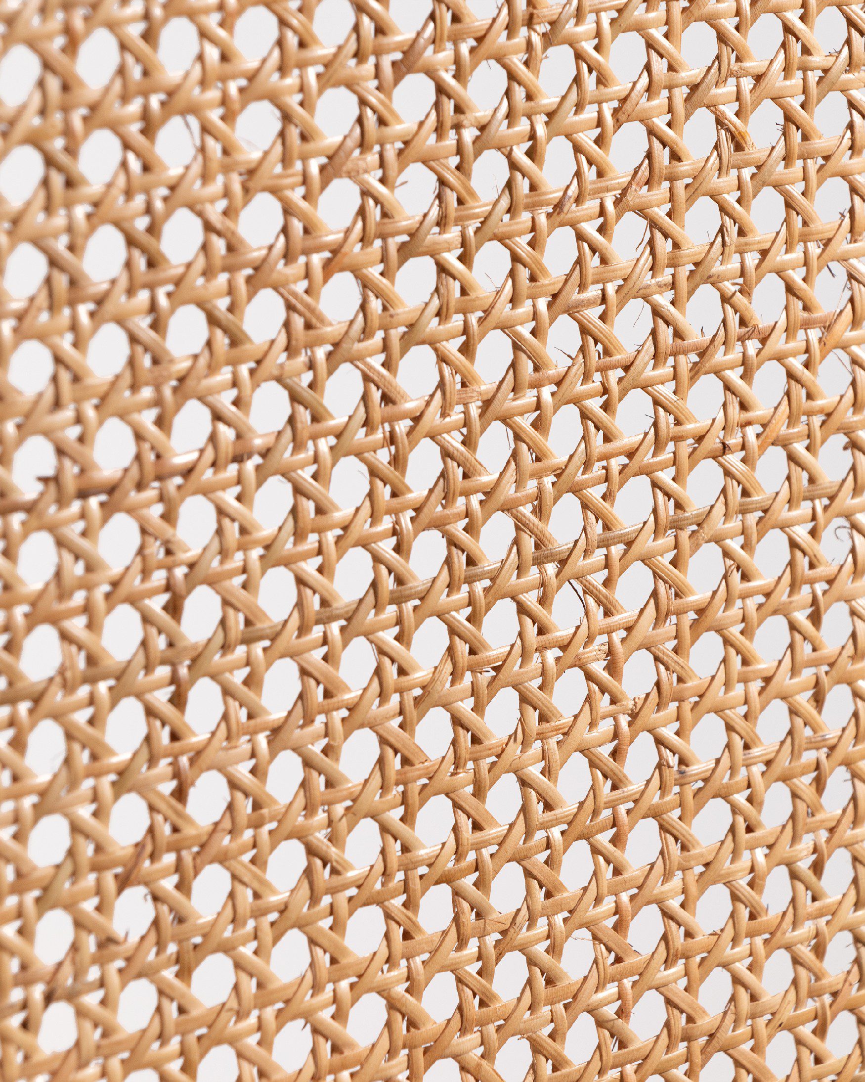 Cabezal Rias Ratán - Imagen 8